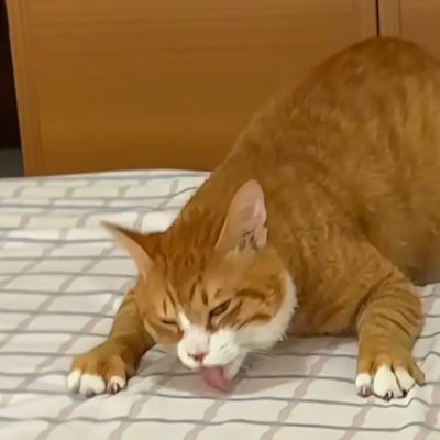 闰土